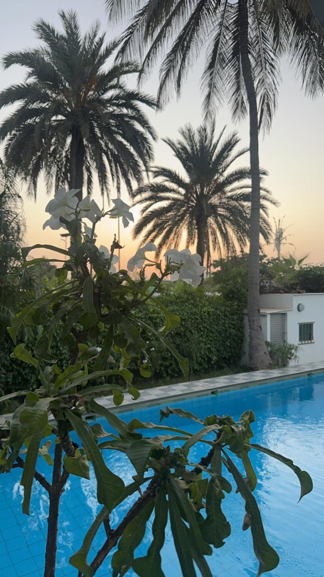 Apartment Anna Dakar